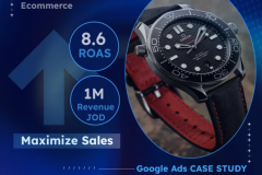 Google Search Ads Success Story | Case Study